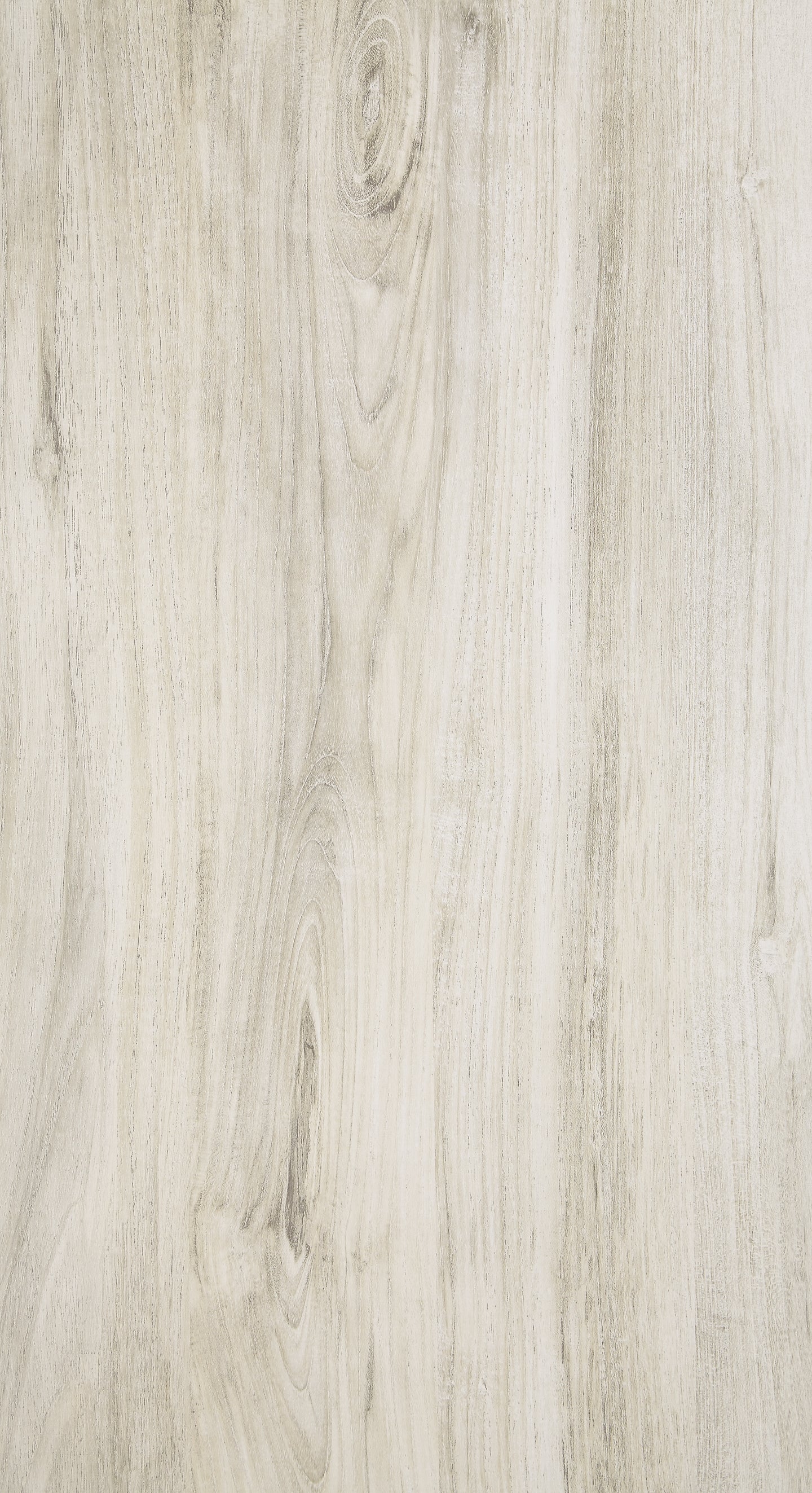 B331-57-B1 : PKG004635