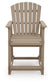 Seacliff Beach Barstool (2/CN)
